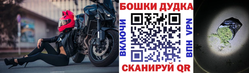 Купить закладки  Ростов-на-Дону  Бошки марихуана сатива 